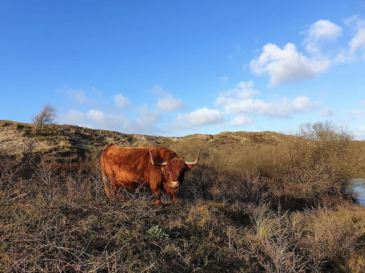 Zeelui Otel Egmond aan Zee Dış mekan fotoğraf