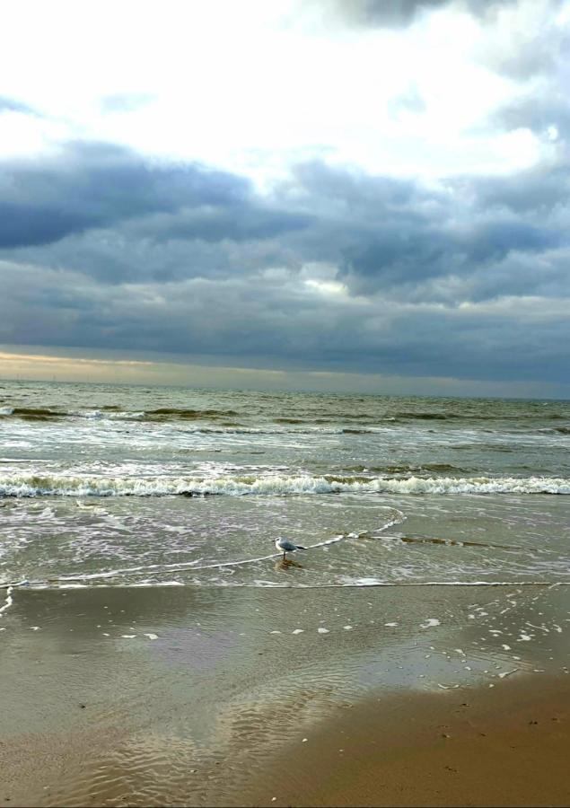 Zeelui Otel Egmond aan Zee Dış mekan fotoğraf